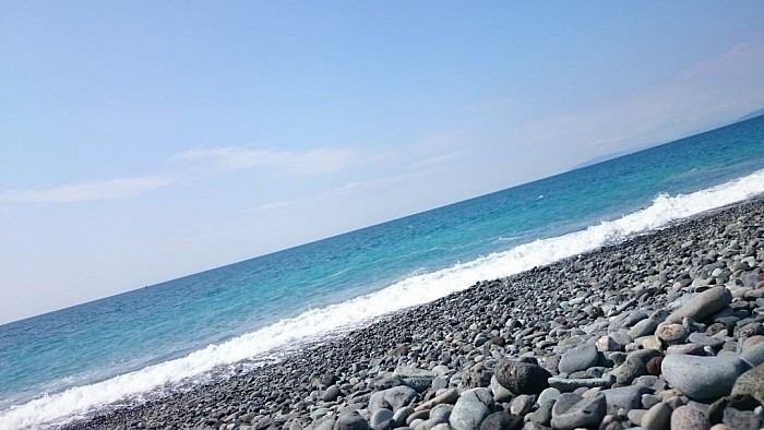 日本流木協会 日本流木協会